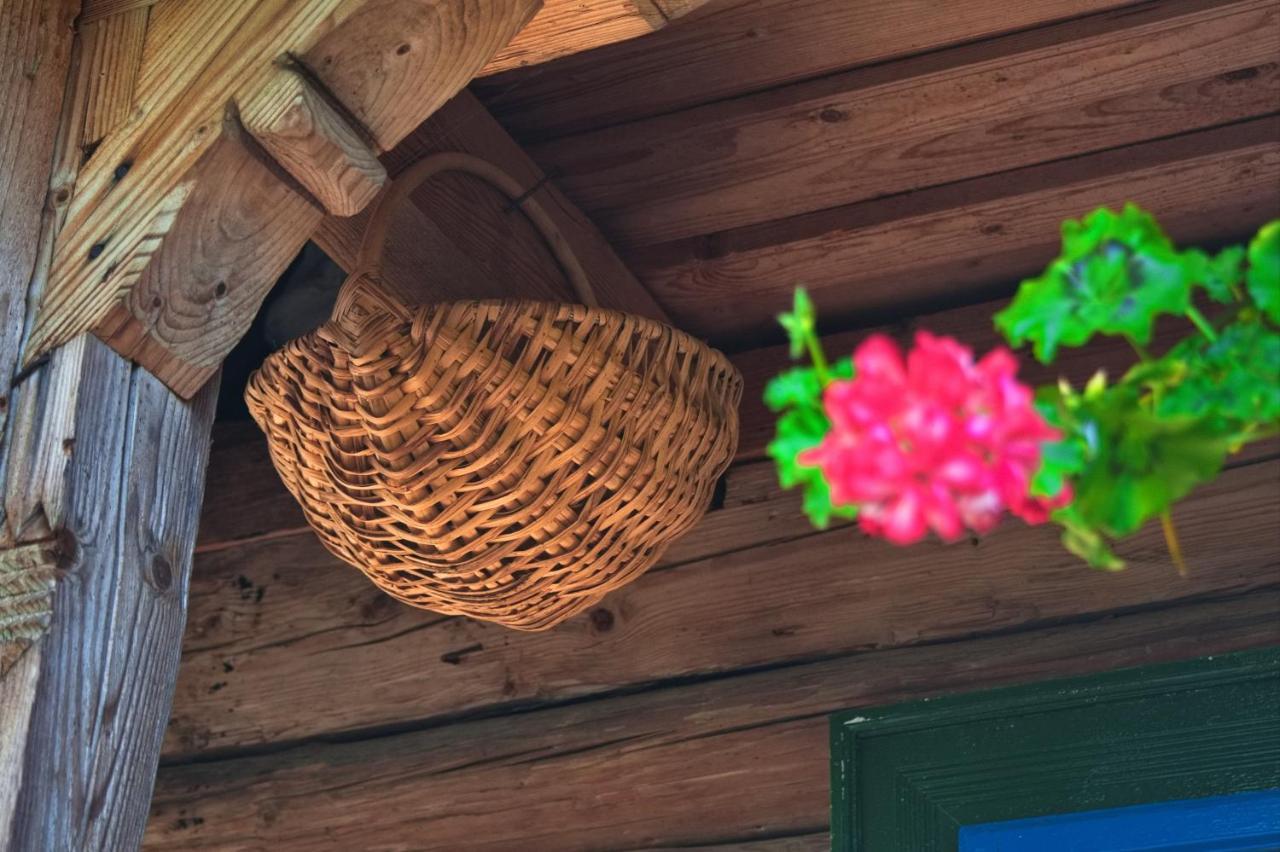 Affittacamere La Rodica In Vale Ocna Şugatag Esterno foto